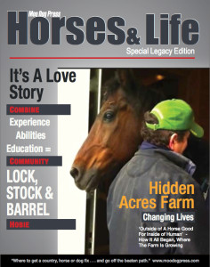 Cover 2016