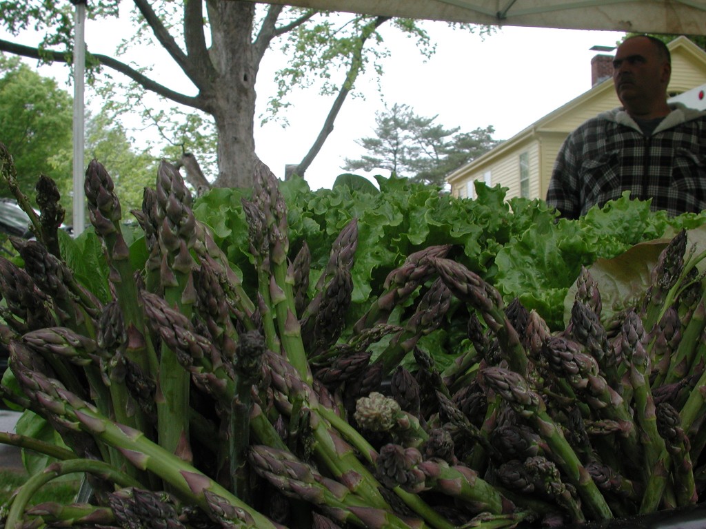 Asparagus, grown by Dondero Orchards in South Glastonbury, Connecticut.